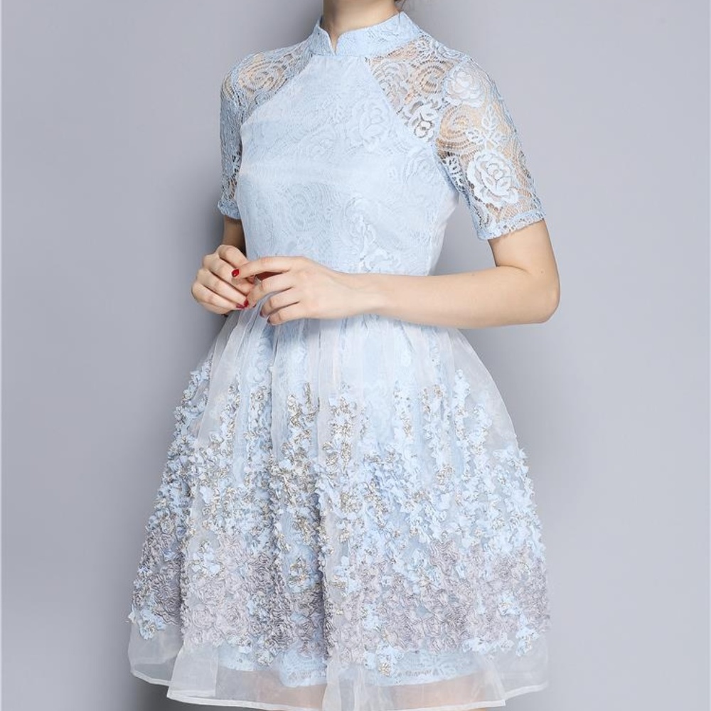 Baby Blue Chiffon 3d elegant Floral Skater Dress